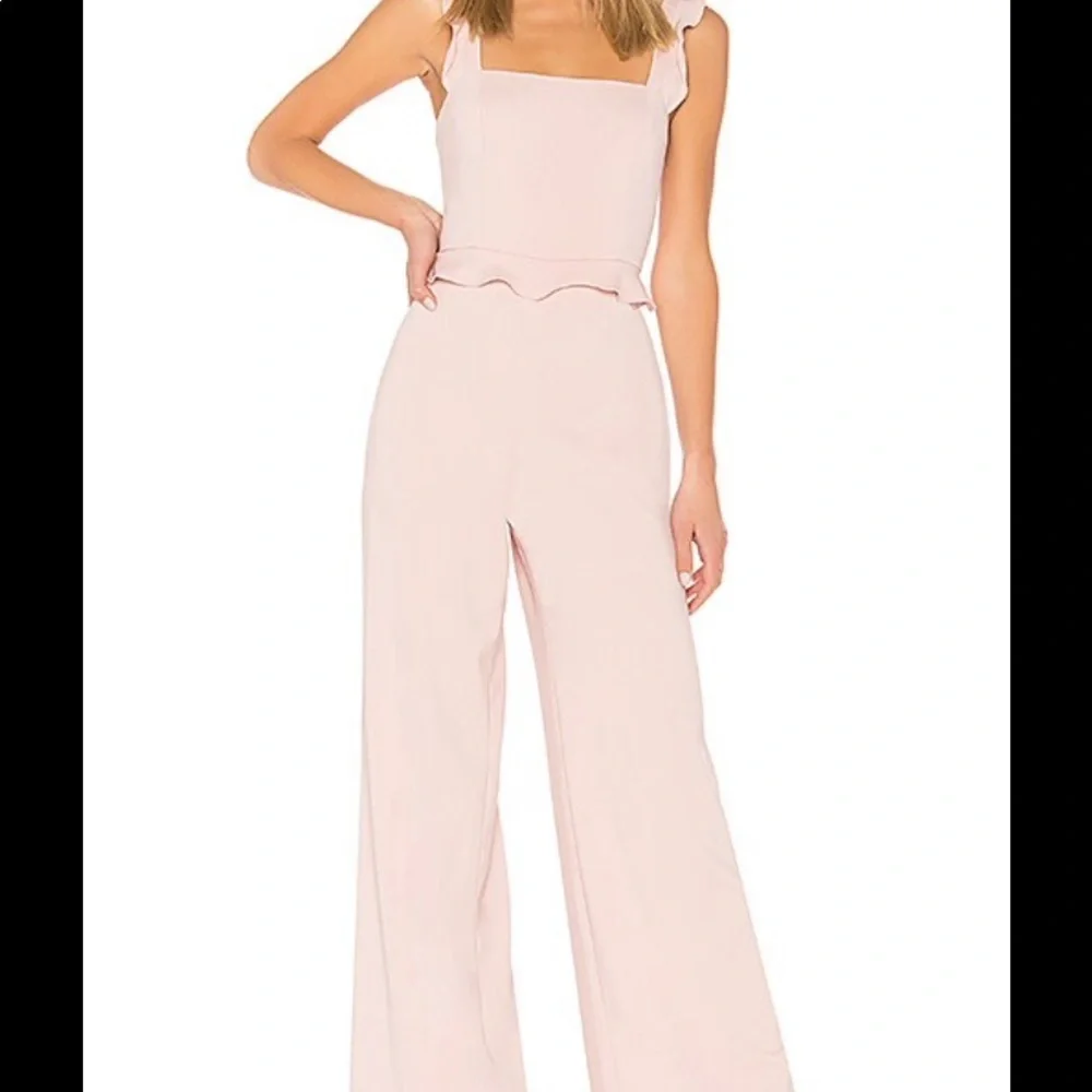 NWT Jay Godfrey blush Ray Jumpsuit SIZE 4 wedding formal - Picture 2 of 6